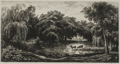 Bagno z Jeleniami autorstwa Charles Francois Daubigny
