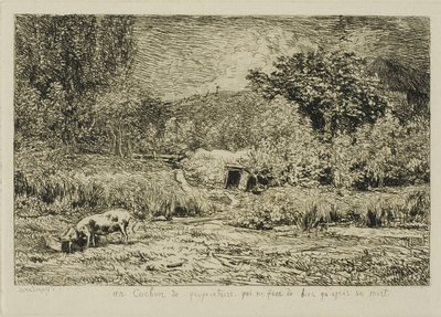 Świnia w sadzie autorstwa Charles Francois Daubigny
