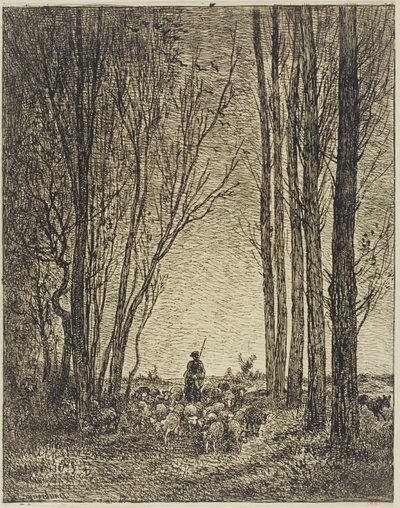 Powrót stada autorstwa Charles Francois Daubigny