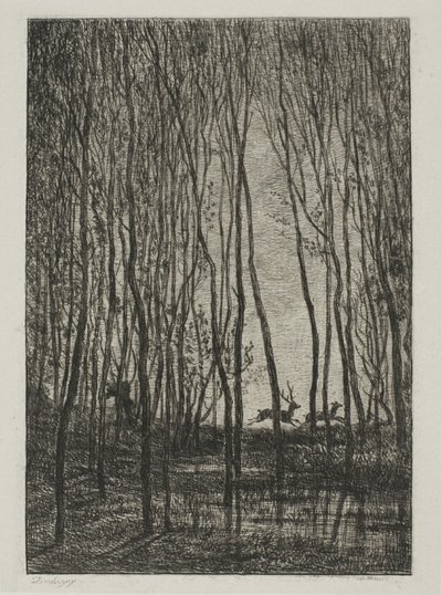 Jelenie w lesie autorstwa Charles Francois Daubigny