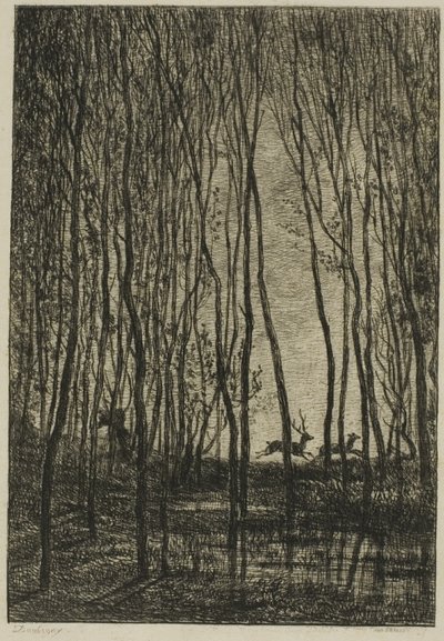 Jelenie w lesie autorstwa Charles Francois Daubigny