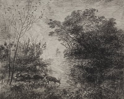 Jelenie, nadruk oryginalny 1862, druk 1921. autorstwa Charles Francois Daubigny