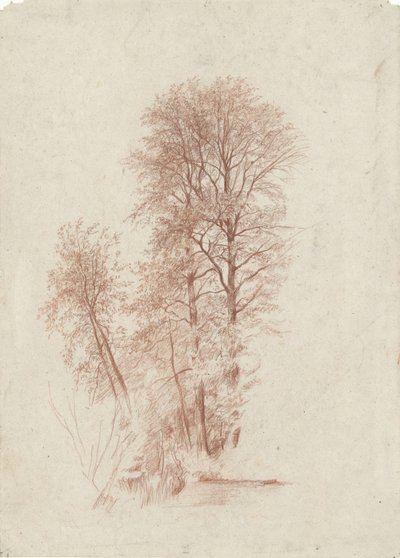 Studium dwóch smukłych i kilku mniejszych drzew w liściach autorstwa Charles Francois Daubigny