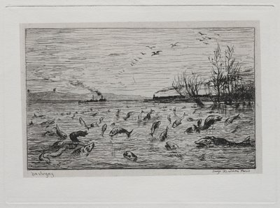 Rejs statkiem: radość z ryby przy odlocie chłopca pokładowego (ryba) autorstwa Charles Francois Daubigny