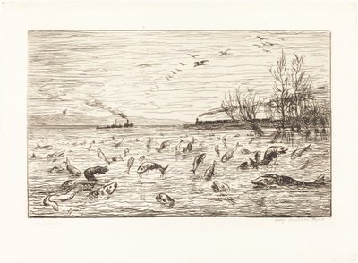 Ryba radujcie się, gdy chłopiec kabinowy odchodzi (Rejouissances de poissons du odejść du mo autorstwa Charles Francois Daubigny