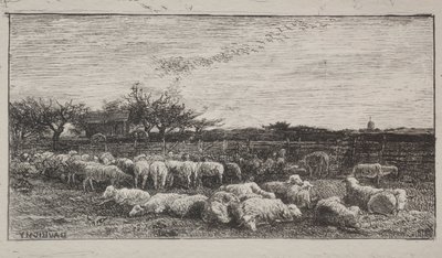 Duża owczarnia, oryginalny nadruk 1862, wydrukowany w 1921 r. autorstwa Charles Francois Daubigny