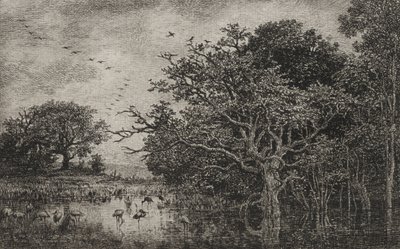 Bagno z bocianami autorstwa Charles Francois Daubigny