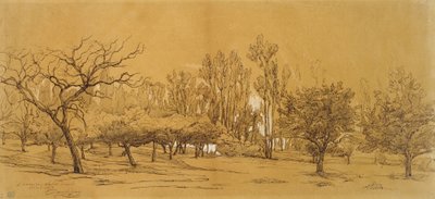 Widok sadu w Saint-Denis (pióro i czarny tusz, podkreślone białym kolorem ciała i dotknięte czarną kredą lub węglem, na sztywnym papierze w kolorze złamanej bieli) autorstwa Charles Francois Daubigny