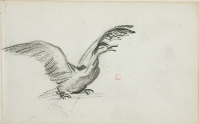Dziki duet (recto); Dwie stojące nagie postacie kobiece w niszach (verso) autorstwa Charles Francois Daubigny
