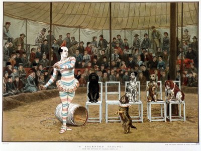Uczone psy: scena cyrkowa z klaunem i psami - wg Charlesa Greena, angielski chromo 1885. ¿Uczone psy: scena cyrkowa z klaunem i psami - wg Charlesa Greena, angielski chromo 1885. ¿ autorstwa Charles Green