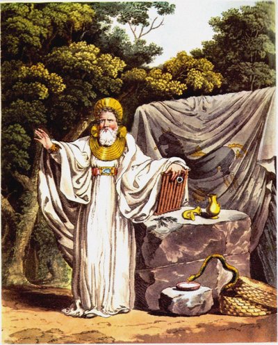Arcydruid w pełnym kostiumie sędziowskim z kostiumu pierwotnych mieszkańców Wielkiej Brytanii autorstwa Charles Hamilton Smith