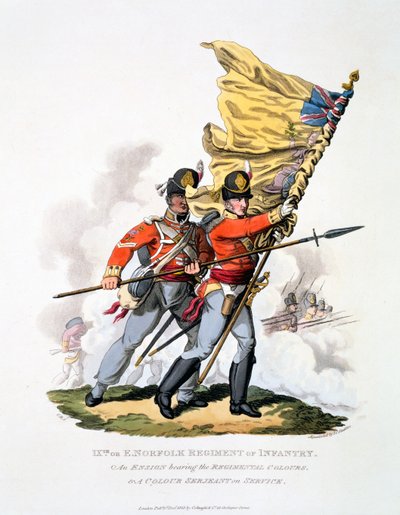 Uniform und Colours 9. Pułku Piechoty East Norfolk, z „Kostium Imperium Brytyjskiego według ostatnich przepisów”, opublikowany w 1813 r. (akwatinta ręcznie kolorowana) autorstwa Charles Hamilton Smith
