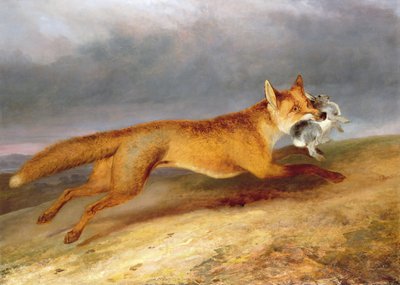 Lis ucieka z Królikiem autorstwa Charles Hancock