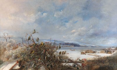 Ptaki z piór autorstwa Charles Henry Clifford Baldwyn