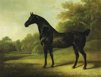 Gniady koń w zalesionym krajobrazie autorstwa Charles Henry Schwanfelder