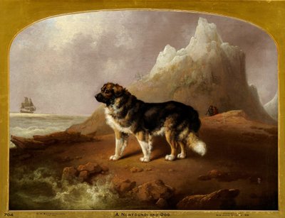Pies nowofundlandzki autorstwa Charles Henry Schwanfelder