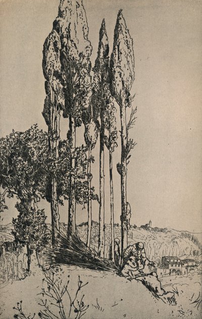 Cyprysy w pobliżu Sieny, 1903 autorstwa Charles Holroyd