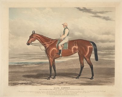  autorstwa Charles Hunt