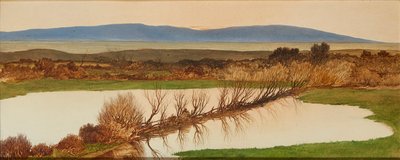 Zachód słońca nad stawem (olej na pokładzie) autorstwa Charles Hutton Lear