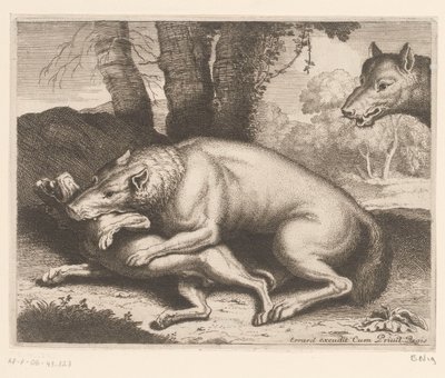 Pies zaatakowany przez wilka Seria zwierzęca (tytuł serii) autorstwa Charles II Errard (attributed to)