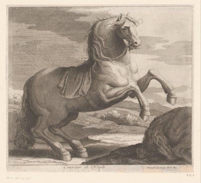 hodowla konia Coursier de Naples (tytuł na obiekcie) Seria zwierzęca (tytuł serii) autorstwa Charles II Errard (attributed to)