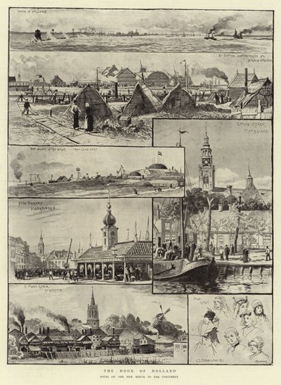 Hok holenderski autorstwa Charles J. Staniland