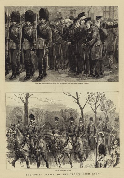 Królewski przegląd wojsk z Egiptu autorstwa Charles J. Staniland