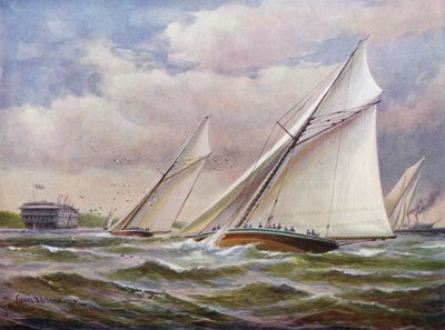 Białe Skrzydła autorstwa Charles John de Lacy