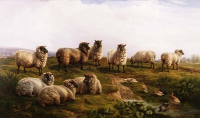 Owca walijska czarnolica autorstwa Charles Jones