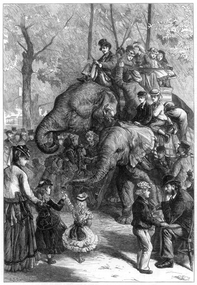 Poniedziałkowe popołudnie w ogrodach towarzystwa zoologicznego, 1871. autorstwa Charles Joseph Staniland