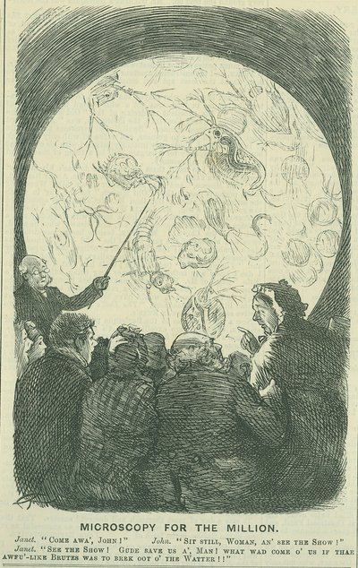 Mikroskopia dla Milionów: 1878 (grawerowanie) autorstwa Charles Keene