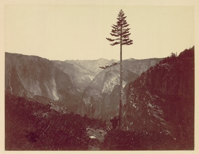 Dolina Yosemite z Mariposa Trail, ok. godz. 1865. autorstwa Charles Leander Weed