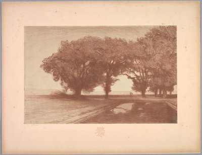 Suita krajobrazów: Pejzaż, Tablica 8, Notatka, Bratki, 1892-1893. autorstwa Charles Marie Dulac