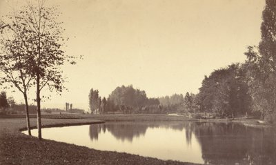 Lasek Buloński autorstwa Charles Marville