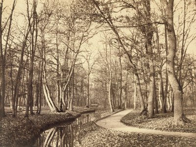 Lasek Buloński, Paryż autorstwa Charles Marville