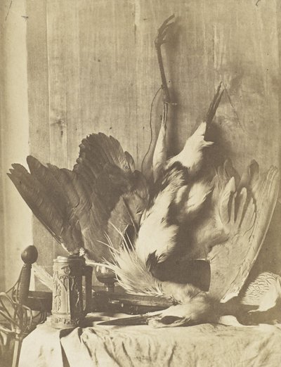 Martwa natura z gry, ok.1853-55 (odbitka albuminizowana na papierze solonym) autorstwa Charles Marville