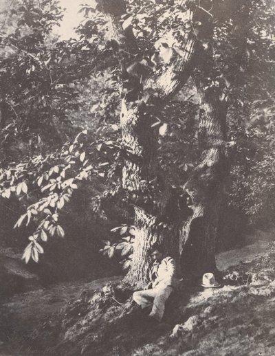 Mężczyzna leżący u stóp kasztanowca, 1850-53. autorstwa Charles Marville