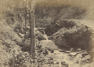 [Dolina Szwajcarska w St. Goarshausen]. autorstwa Charles Marville
