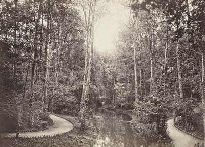 Staw Łani, Lasek Buloński autorstwa Charles Marville