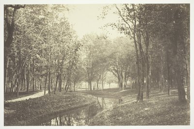 Nieuprawny autorstwa Charles Marville