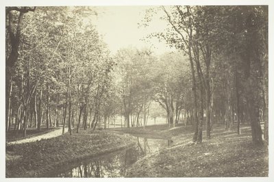 Bez tytułu, ok. 1850. [Drzewa nad wodą w Bois de Boulogne, park w Paryżu]. autorstwa Charles Marville