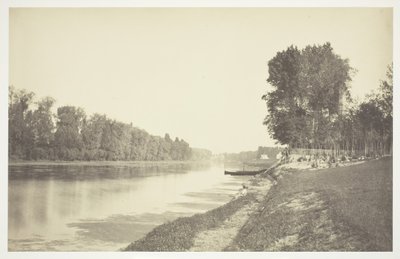Bez tytułu, ok. 1850. [Drzewa nad wodą w Bois de Boulogne, park w Paryżu]. autorstwa Charles Marville