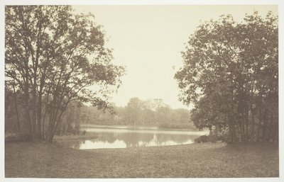 Bez tytułu, ok. 1850. [Drzewa nad wodą w Bois de Boulogne, park w Paryżu]. autorstwa Charles Marville