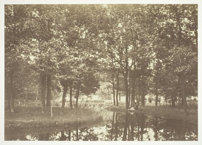 Bez tytułu, ok. 1850. [Drzewa nad wodą w Bois de Boulogne, park w Paryżu]. autorstwa Charles Marville