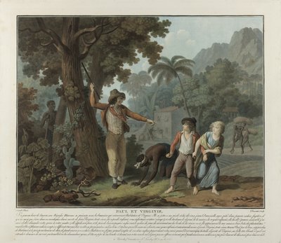 Zbiegły niewolnik, płyta 2 z Paul et Virginie autorstwa Charles Melchior Descourtis