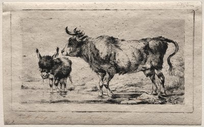 Krowa i tyłek autorstwa Charles Meryon