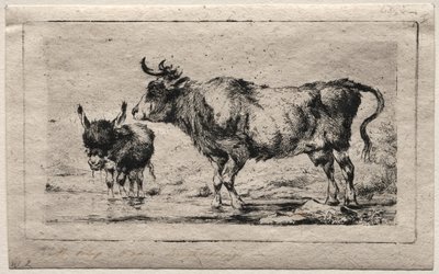 Krowa i Osioł, 1849. autorstwa Charles Meryon