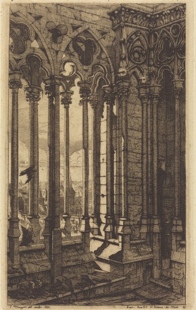 Galeria Notre-Dame w Paryżu (The Gallery of Notre Dame, Paris) autorstwa Charles Meryon