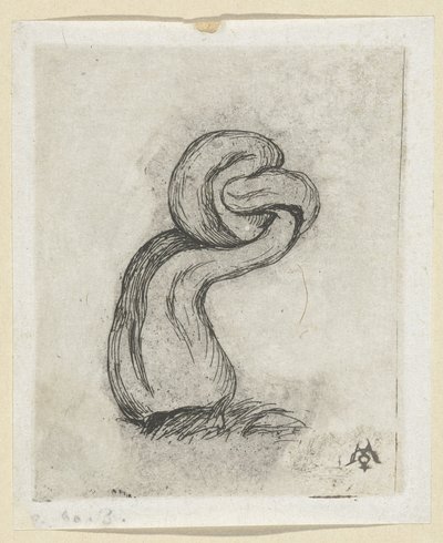 Misvormde paddestoel (Cryptogamae) Kryptogra Malingre autorstwa Charles Meryon