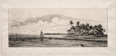 Oceania: Łowienie w pobliżu wysp z palmami w grupie Uea lub Wallis autorstwa Charles Meryon
